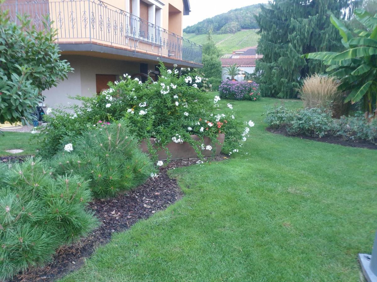 Apartamento La Rocatelle Andlau-au-Val Exterior foto